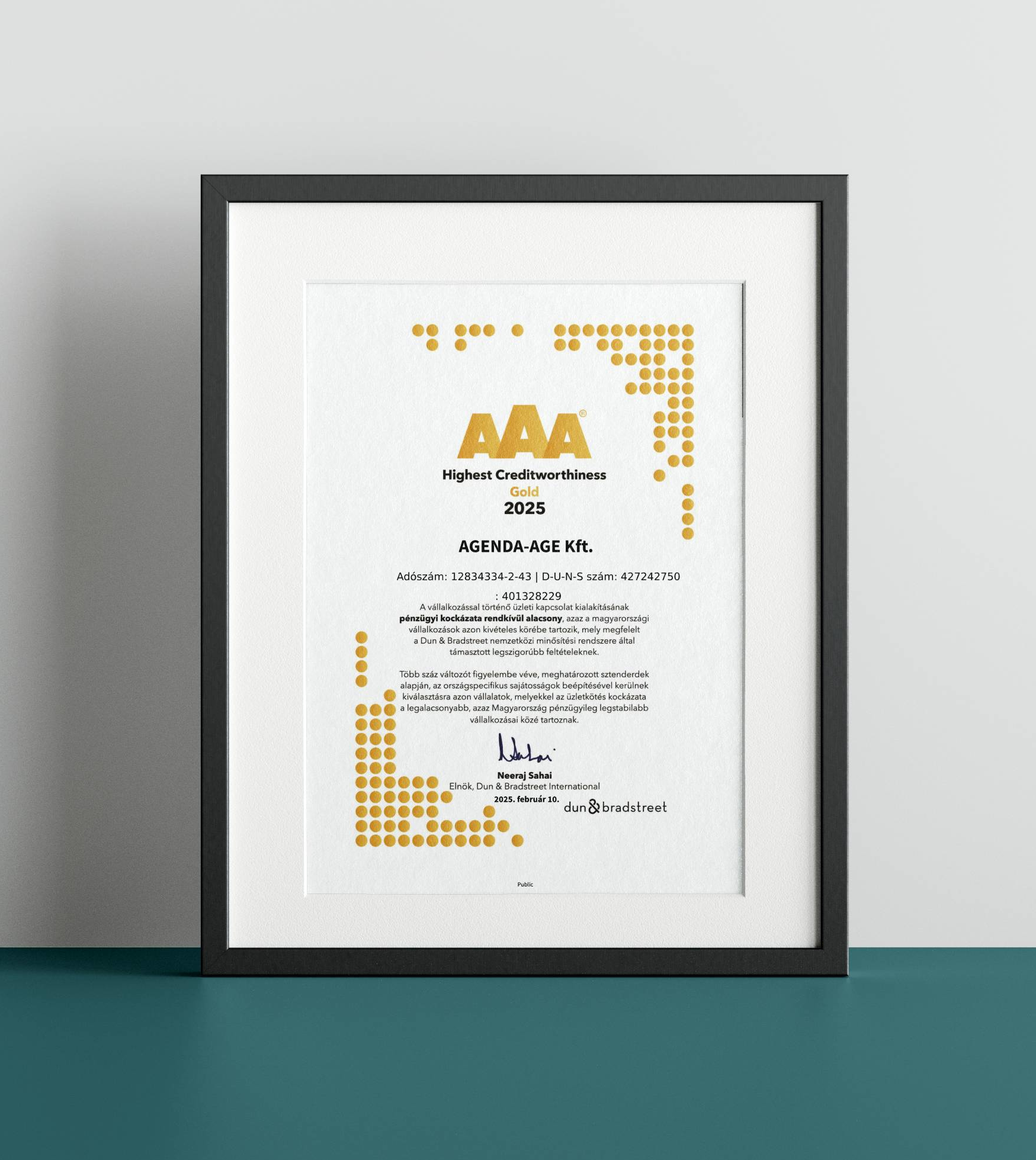 Dun&Bradstreet GOLD AAA minősítés