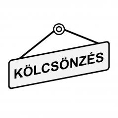 Kölcsönzés