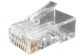 Modulár dugó RJ45 Cat6  UTP patch/fali ( 1mm) 50µ" EXW [16445]-a