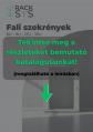 Rack szekrény 12U fali 19" 600x 450 fekete üveg a. RackSys [19183]-a